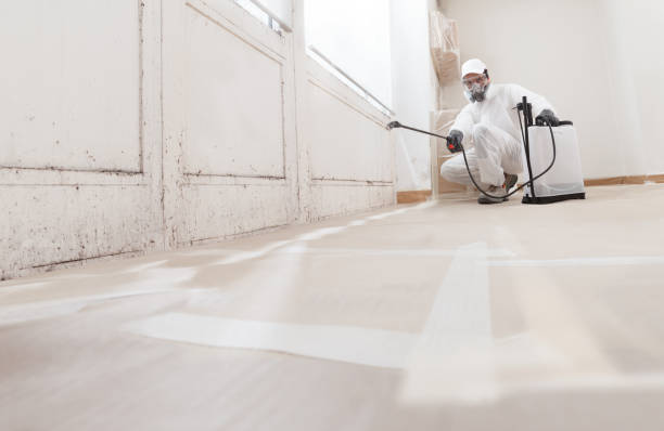 24/7 Emergency Mold Remediation experts in Stafford, TX