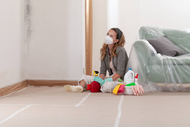 Reliable Mold Remediation contractor in Stafford, TX by 24 Hour Mold Removal